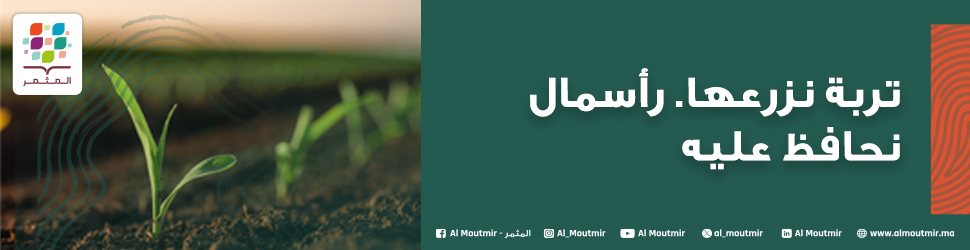 advertising banner